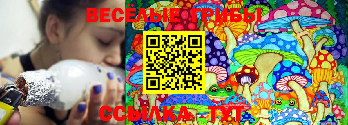 Галлюциногенные грибы мухоморы  Вход с VPN  где продают   Чистополь 