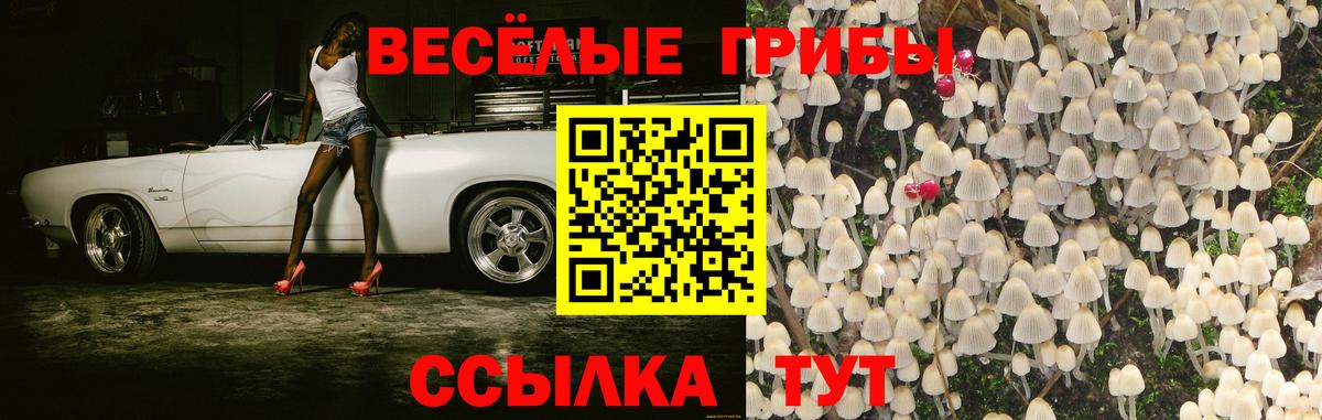 Галлюциногенные грибы GOLDEN TEACHER Чистополь